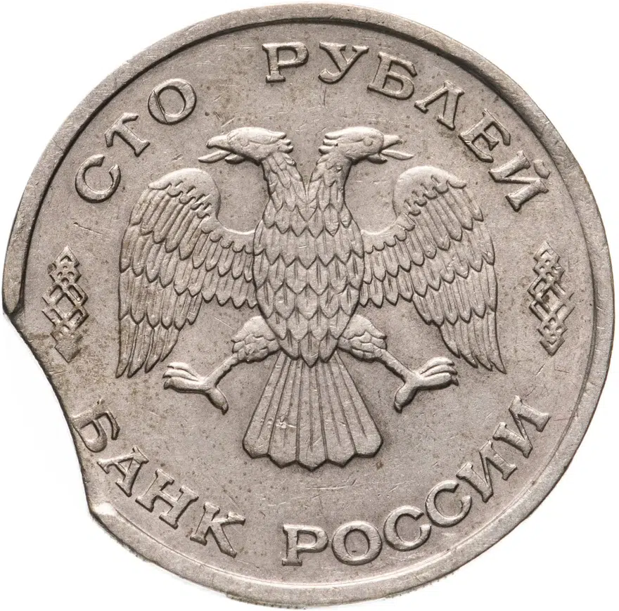 100 рублей 1993 ЛМД, реверс