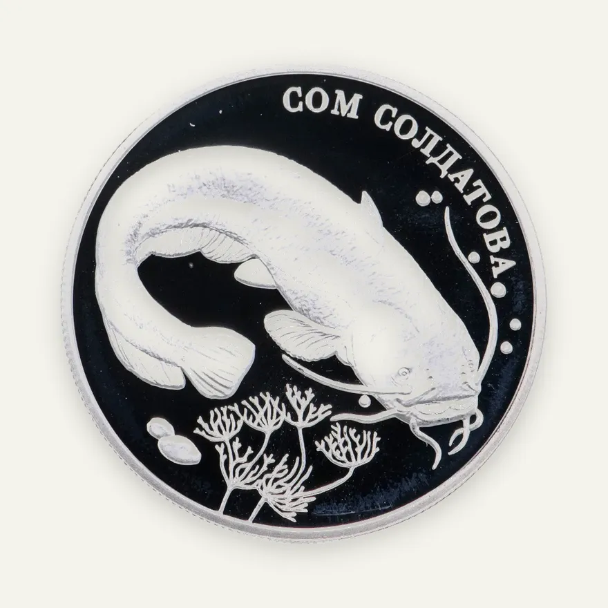 2 рубля 2014 ММД "Красная книга - Сом солдатова", аверс