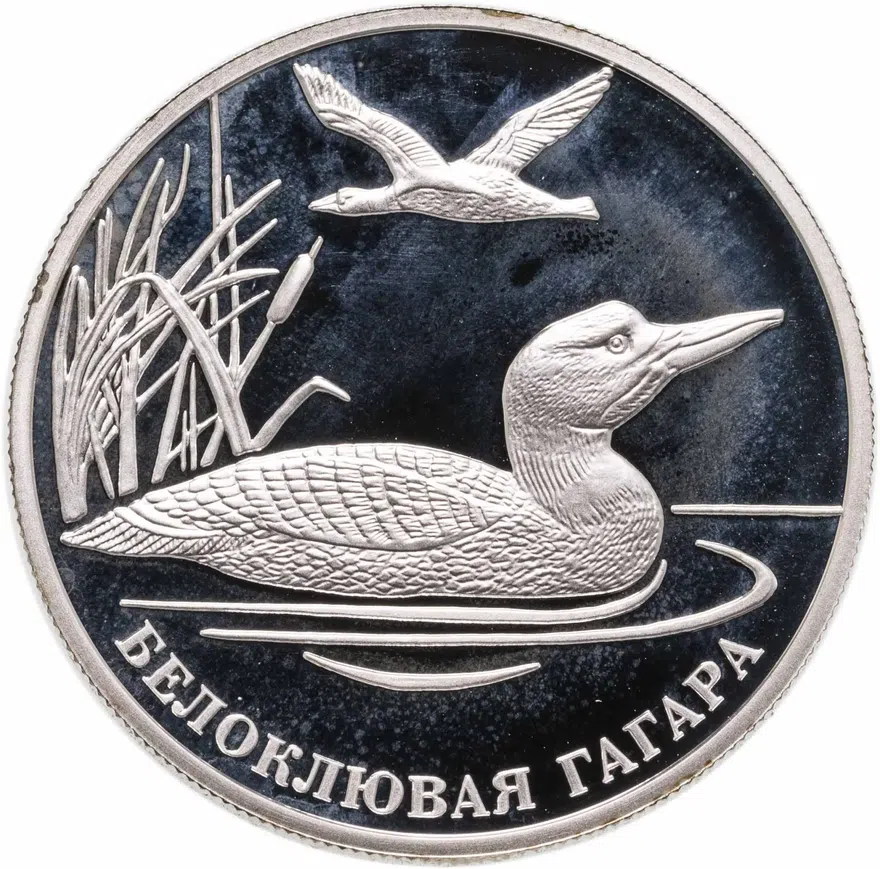 2 рубля 2012 ММД белоклювая гагара, аверс