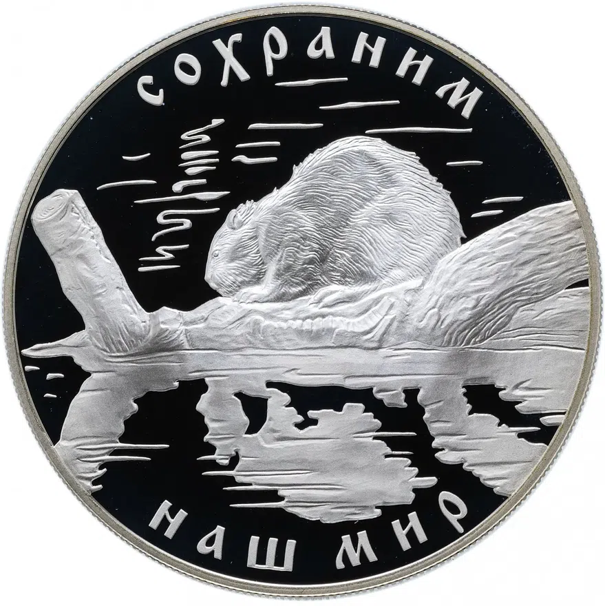 25 рублей 2008 СПМД "Красная книга - речной бобр", аверс