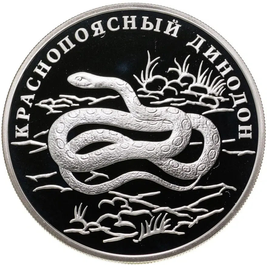 1 рубль 2007 СПМД "Красная книга - краснопоясный динодон", аверс
