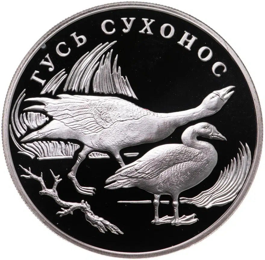 1 рубль 2006 СПМД "Красная книга - Гусь сухонос"