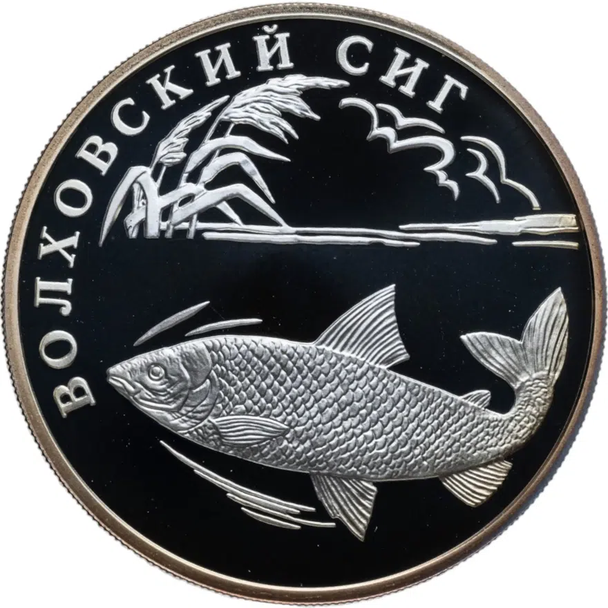 1 рубль 2005 СПМД волховский сиг