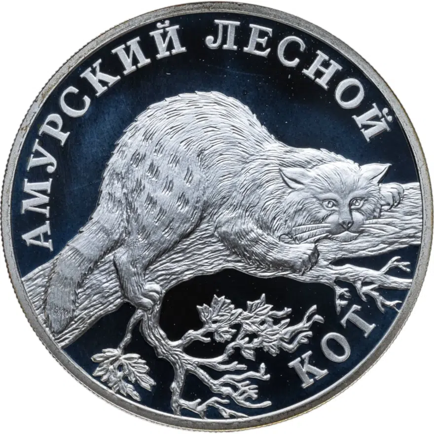 1 рубль 2004 СПМД "Красная книга: амурский лесной кот", аверс