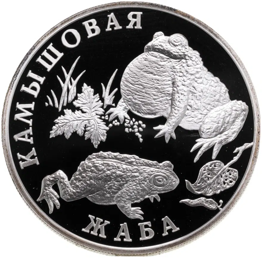 1 рубль 2004 СПМД "Красная книга -Камышовая жаба", аверс
