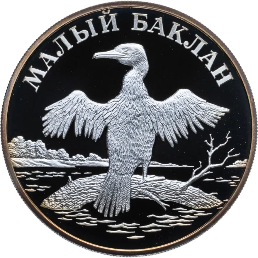 1 рубль 2003 СПМД малый баклан, аверс