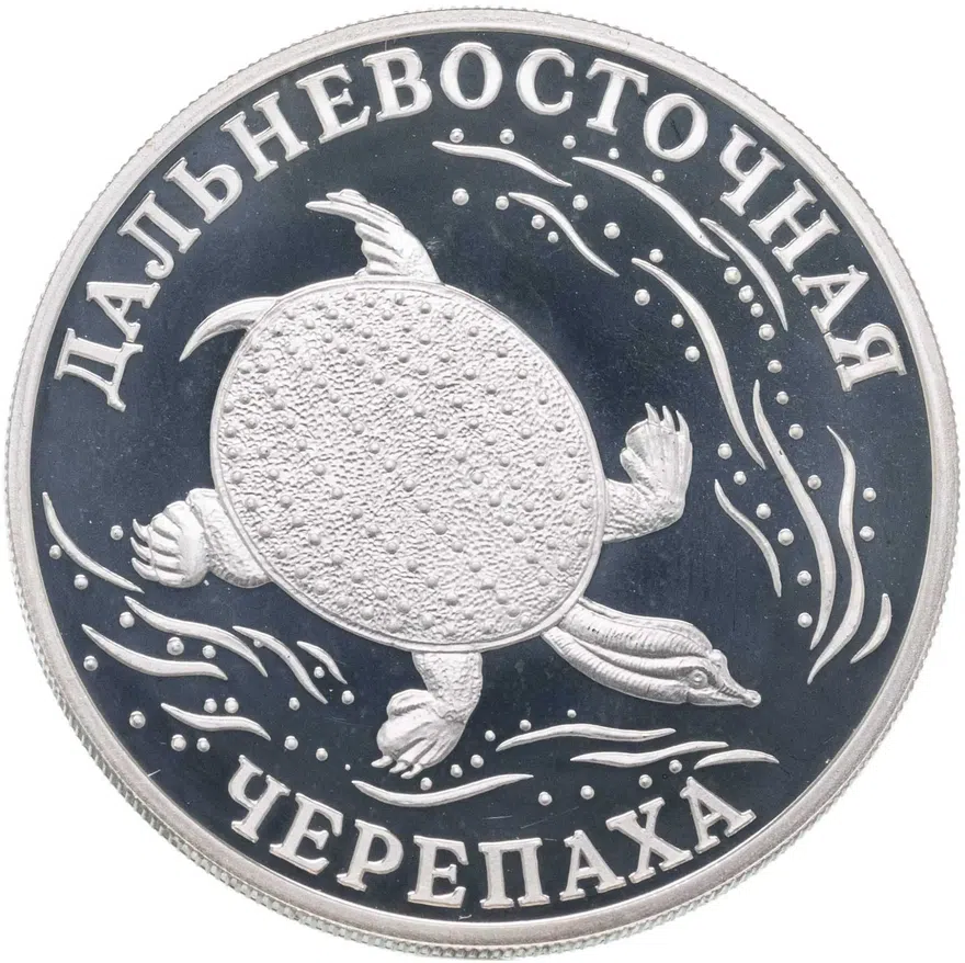 1 рубль 2003 СПМД  "Красная книга: дальневосточная черепаха", аверс