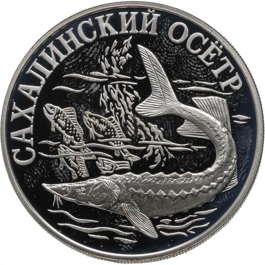 1 рубль 2001 СПМД "Красная книга - Сахалинский осётр"