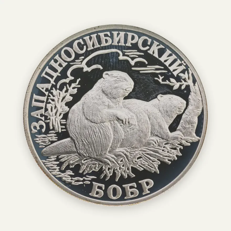1 рубль 2001 СПМД "Красная книга - Западносибирский бобр"