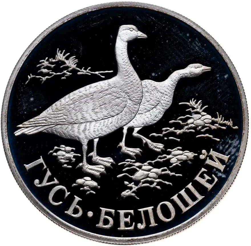 1 рубль 1998 СПМД "Красная книга Гусь-белошей", аверс