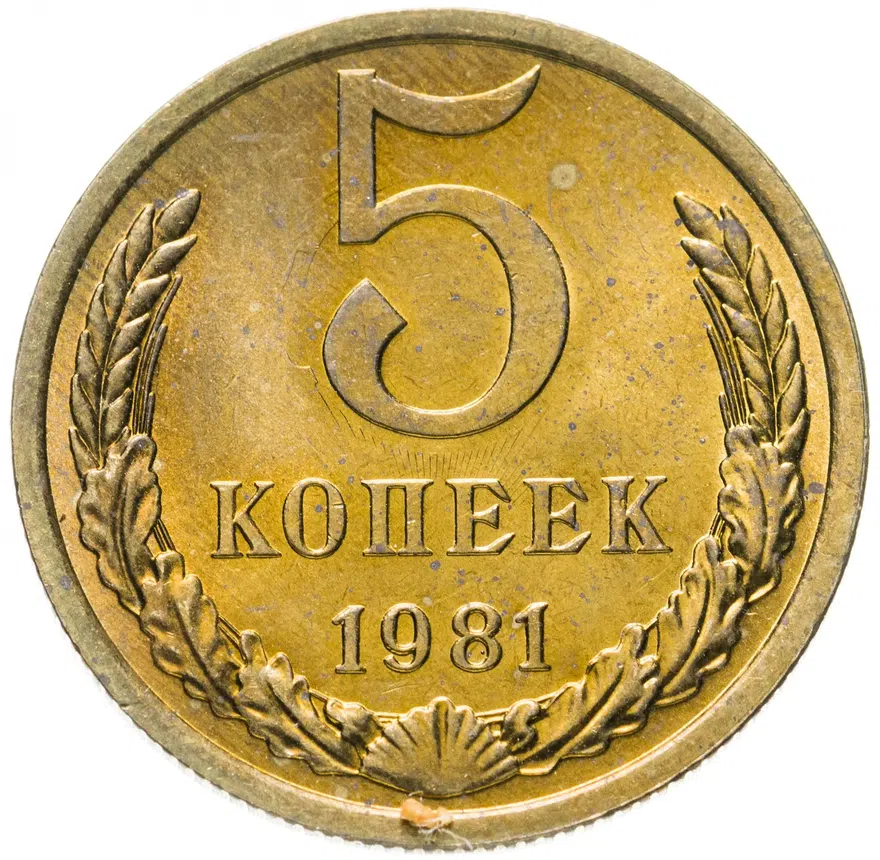 5 копеек 1981, аверс