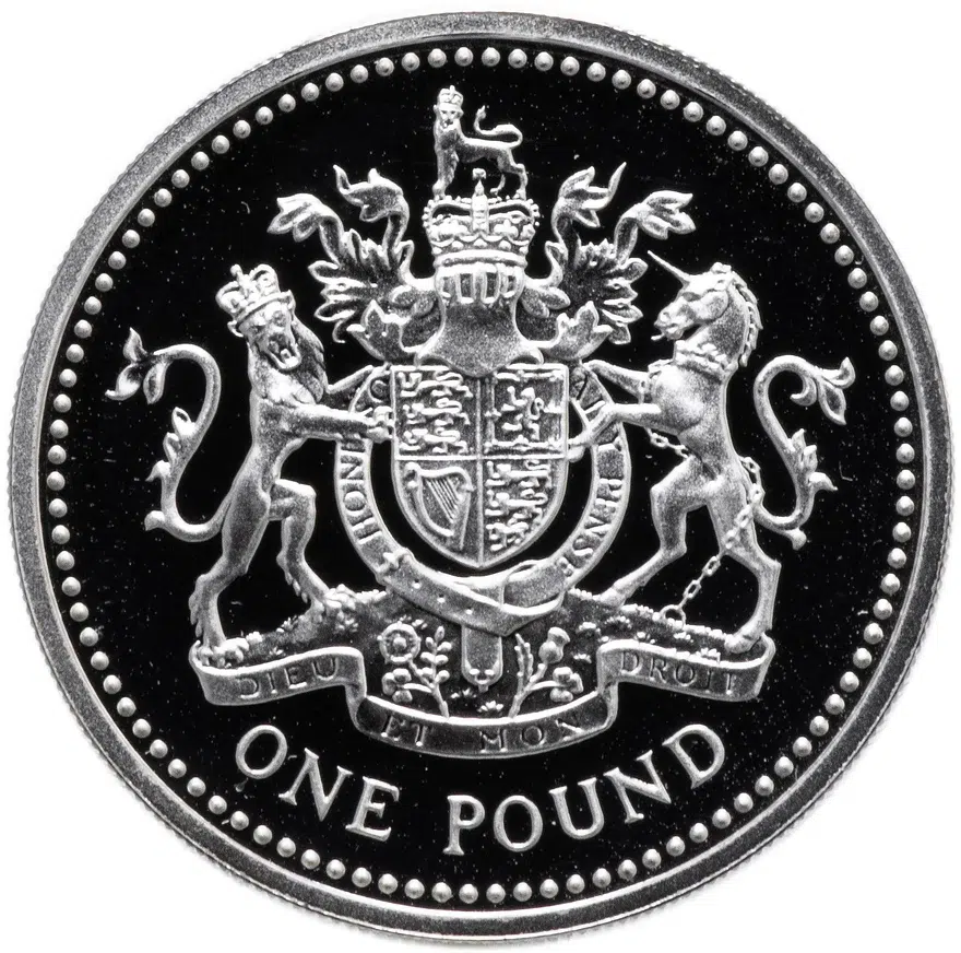 Великобритания 1 фунт (pound) 1993