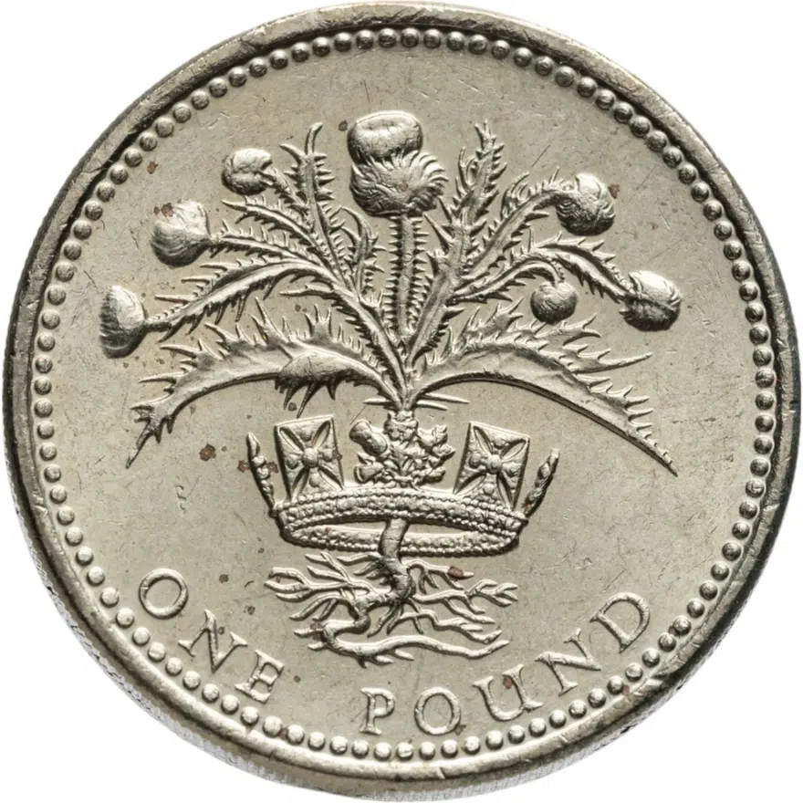 Великобритания 1 фунт (pound) 1989