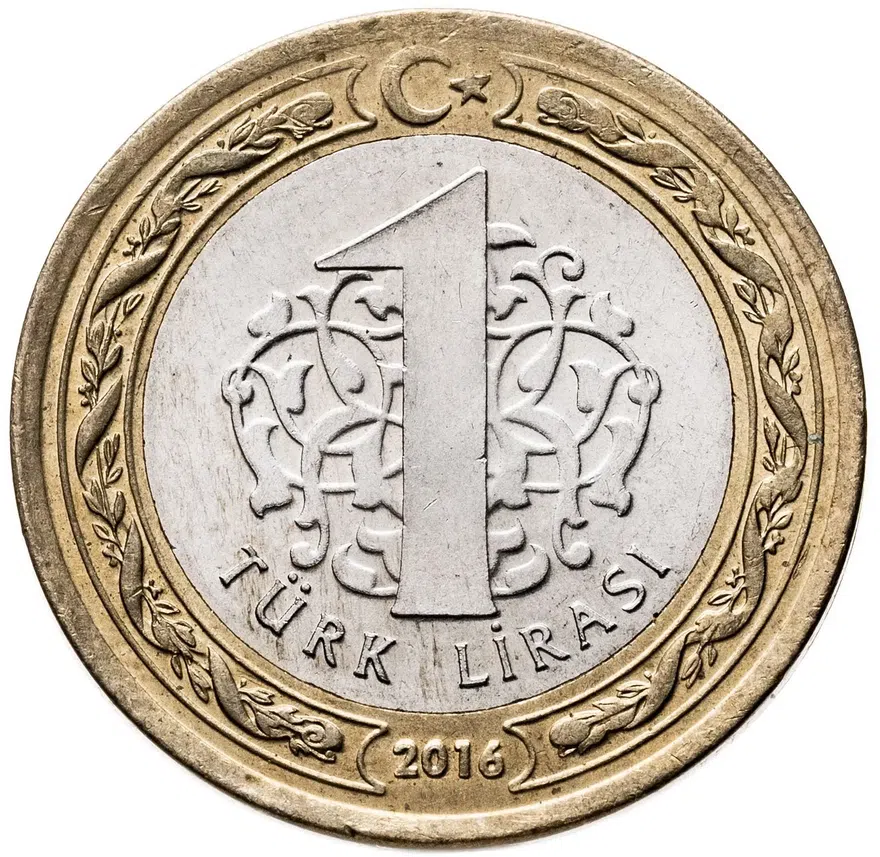Турция 1 лира (türk lirasi) 2016  в память о мучениках 15 июля, реверс