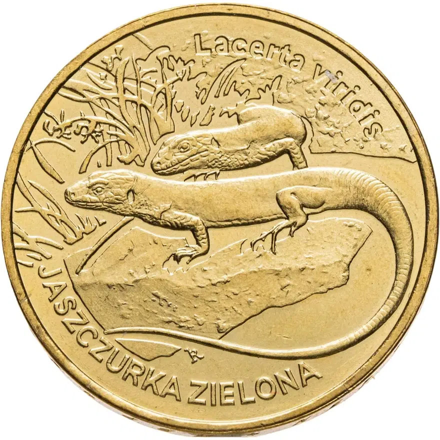 Польша 2 злотых (zlote) 2009  Всемирная природа - Зелёная ящерица, аверс