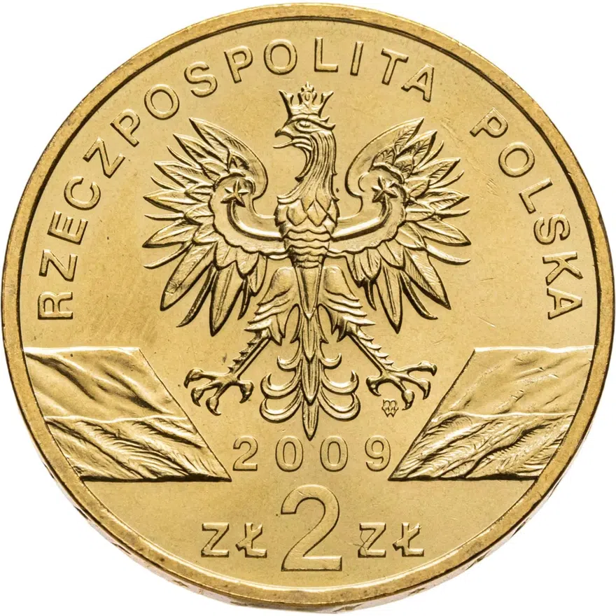 Польша 2 злотых (zlote) 2009  Всемирная природа - Зелёная ящерица, реверс