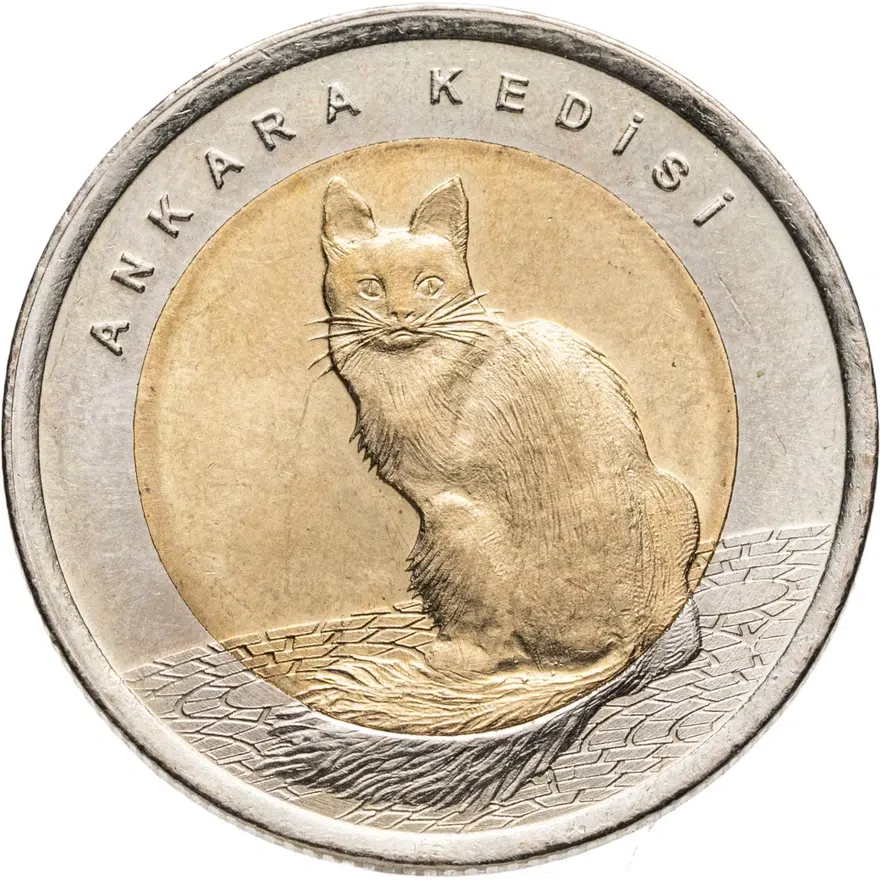 Турция 1 лира (lira) 2015  Фауна Турции - Турецкая ангора (кошка), реверс