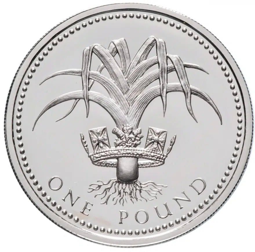 Великобритания 1 фунт (pound) 1990  Proof серебро