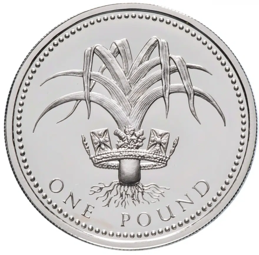 Великобритания 1 фунт (pound) 1990  Proof серебро, реверс