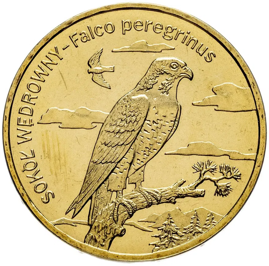Польша 2 злотых (zlote) 2008  Всемирная природа - Сапсан, аверс