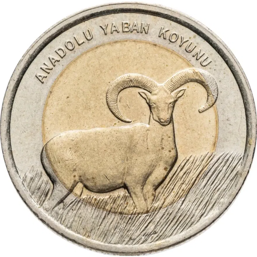 Турция 1 лира (lira) 2015  Фауна Турции - Муфлон