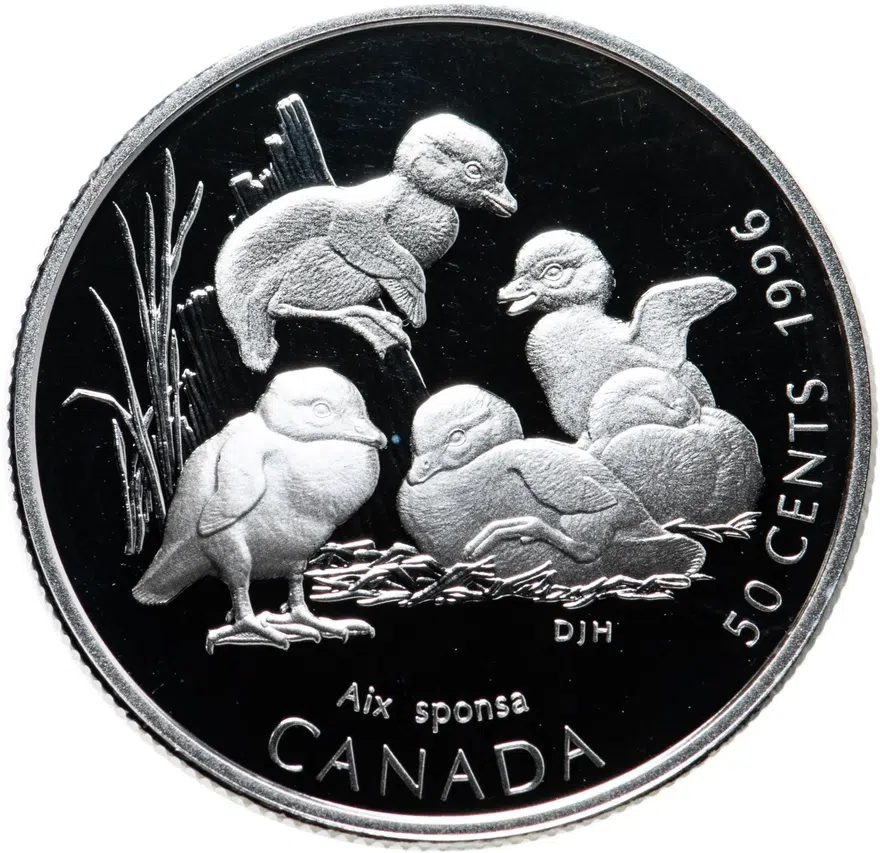 Канада 50 центов (cents) 1996   "Детёныши диких животных - Утята"