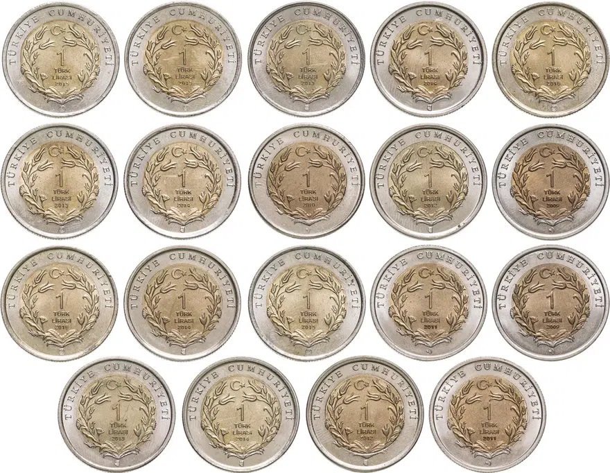 Турция 1 лира (lira) 2010 "Фауна Турции - Кошка"