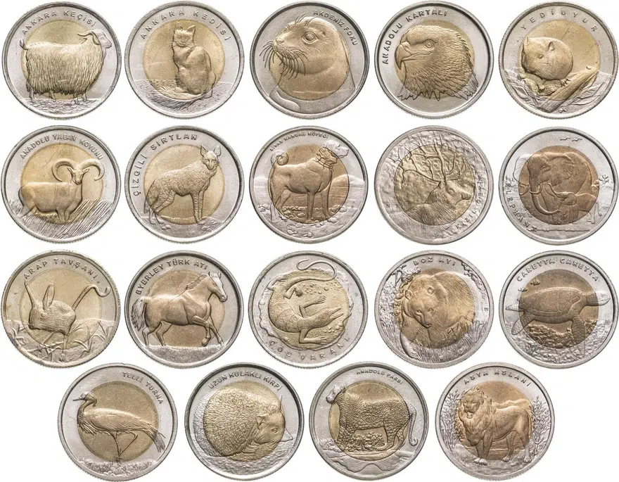 Турция 1 лира (lira) 2010 "Фауна Турции - Кошка", реверс