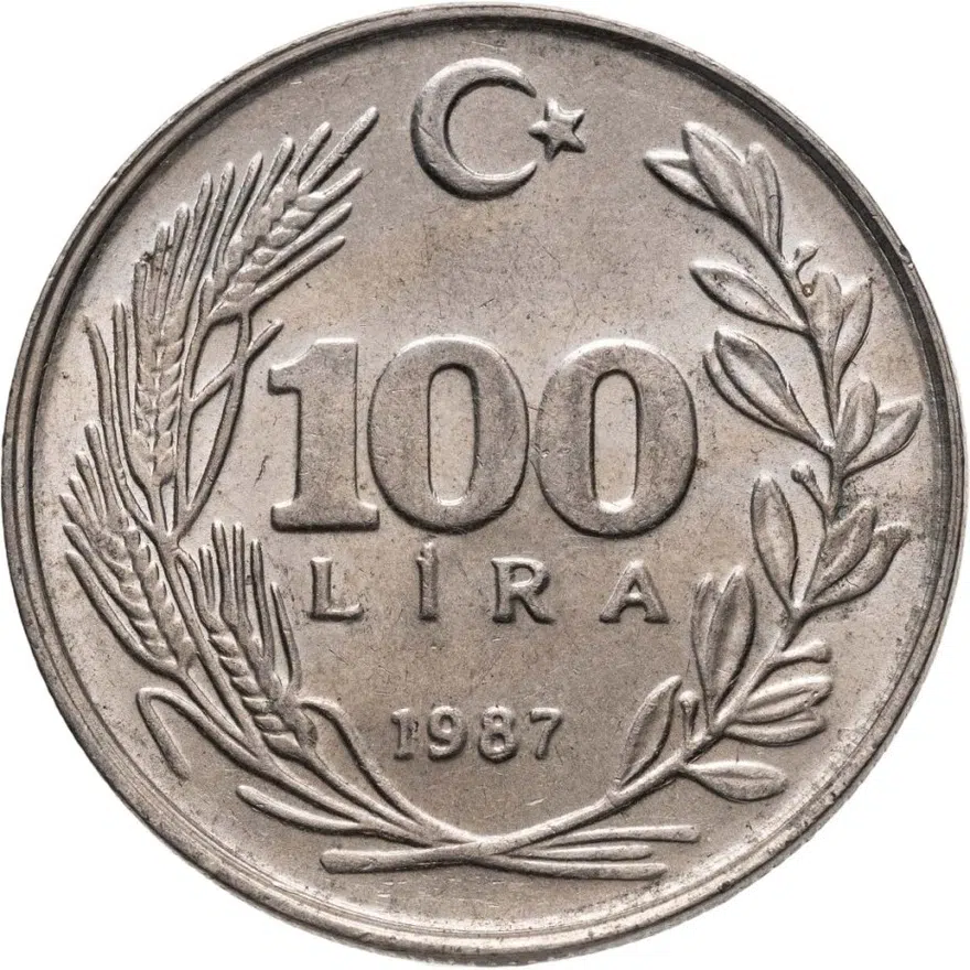 Турция 100 лир (lira) 1987, реверс