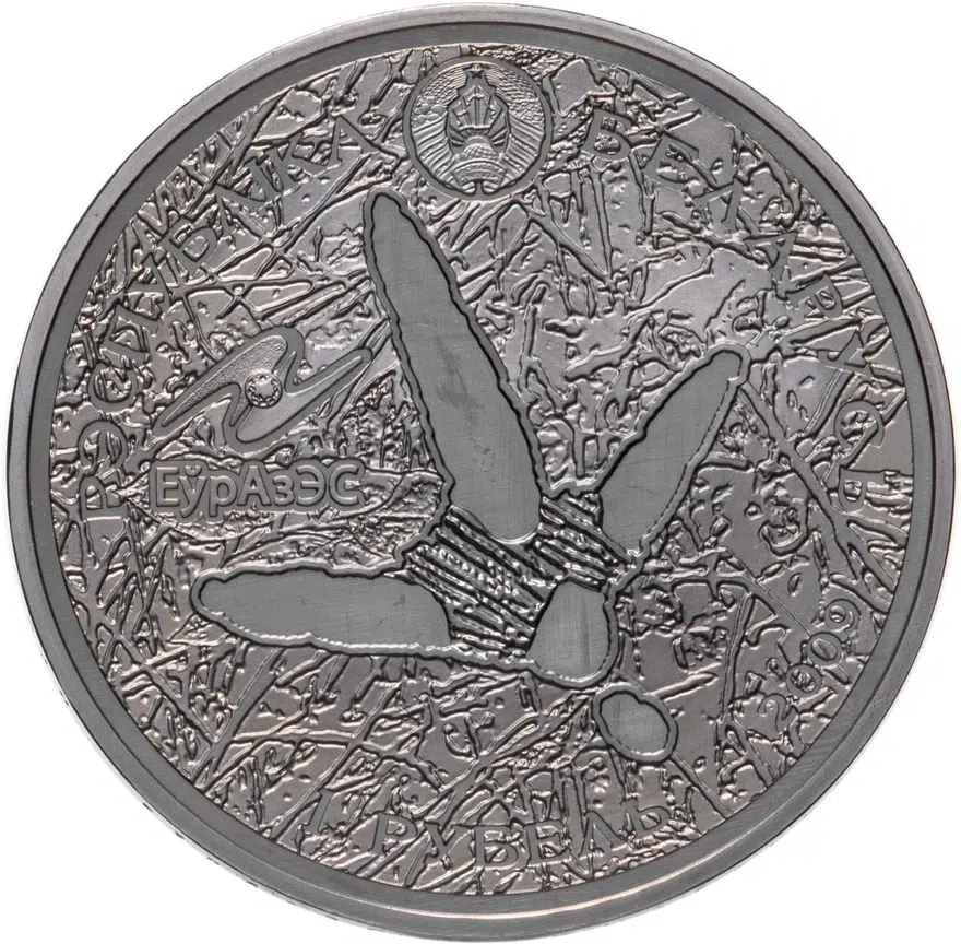 Беларусь 1 рубль 2009 "Животный мир стран ЕврАзЭС - Белый аист", реверс