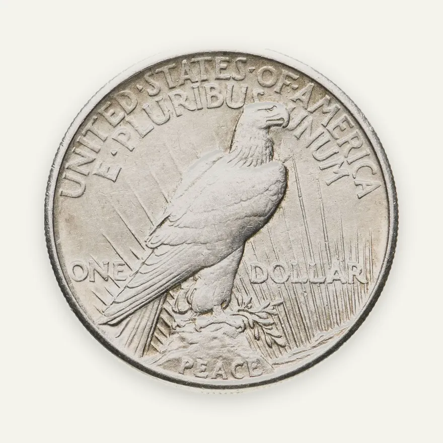 США 1 доллар (dollar) 1921  Peace Dollar (Мирный доллар), реверс