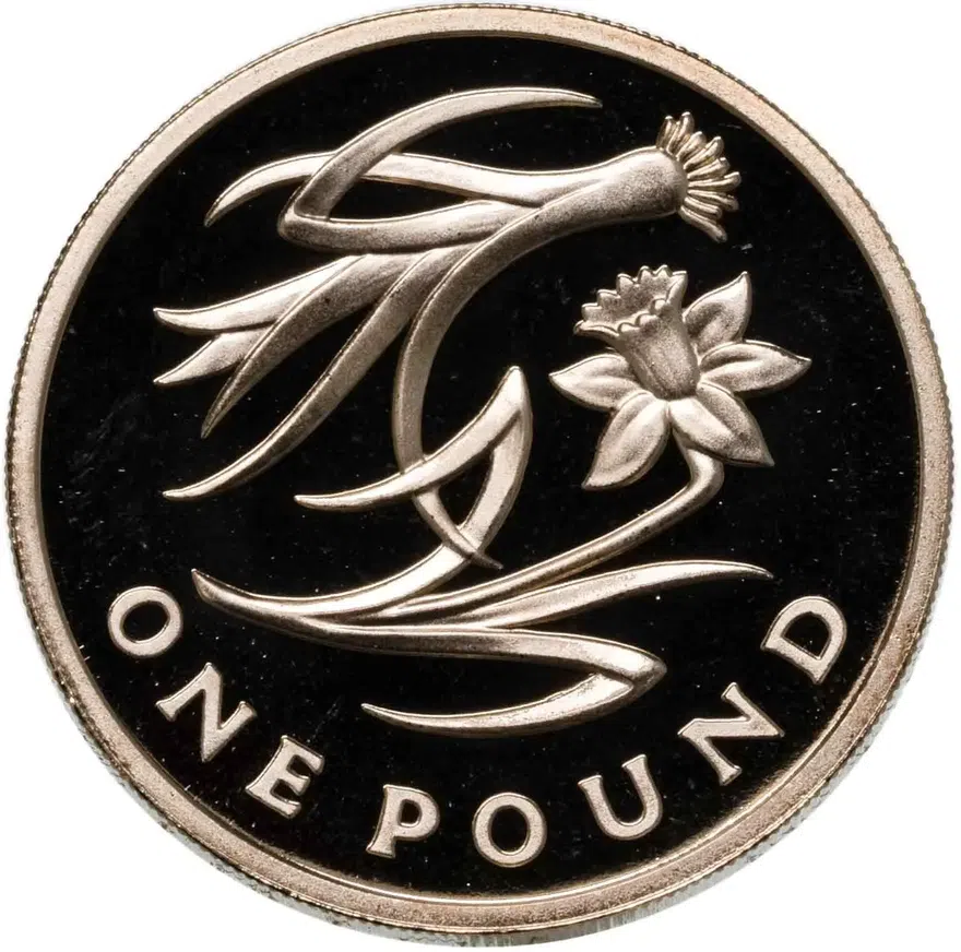 Великобритания 1 фунт (pound) 2013 Флора Англии: лук-порей и нарцисс, аверс