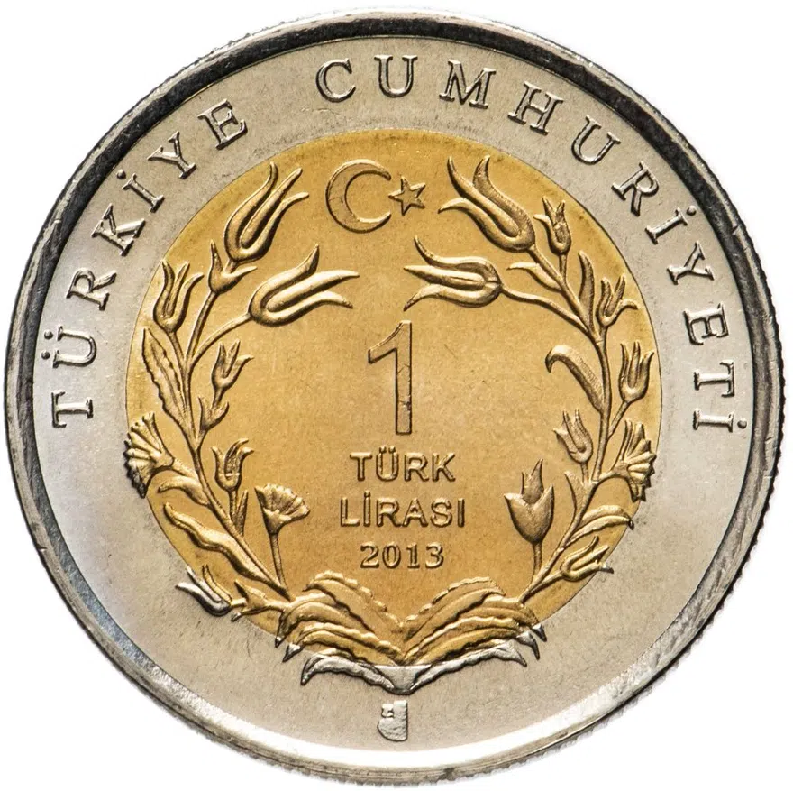 Турция 1 лира 2013 "Фауна Турции - Журавль-красавка", реверс