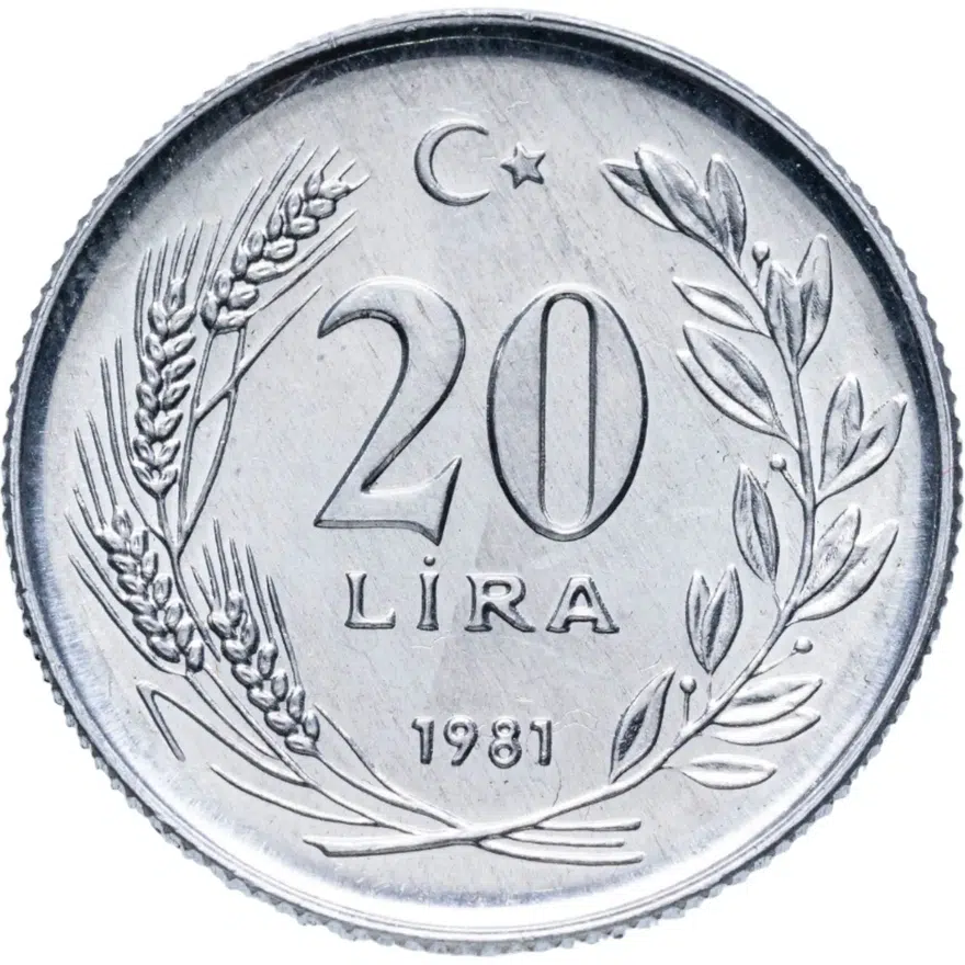 Турция 20 лир (lira) 1981  FAO (ФАО), аверс