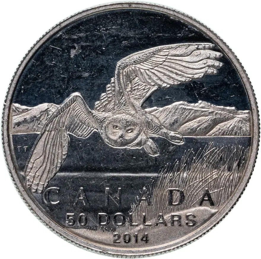 Канада 50 долларов (dollars) 2014  Белая сова, аверс
