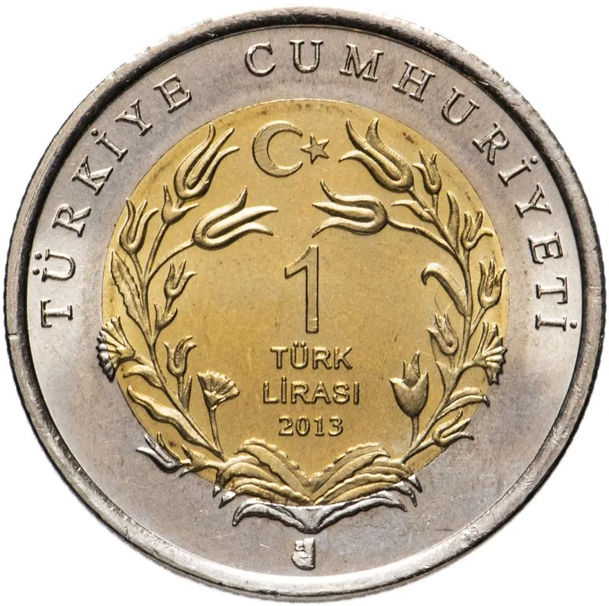 Турция 1 лира 2013 "Фауна Турции - Тюлень", реверс