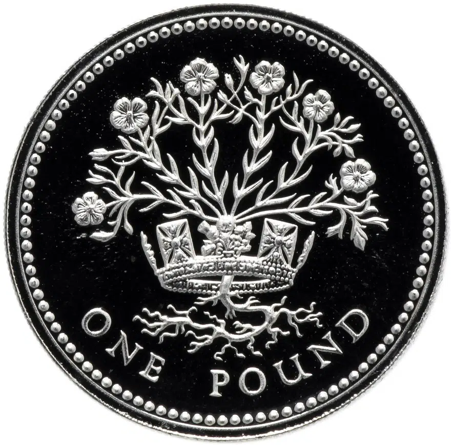 Великобритания 1 фунт (pound) 1986