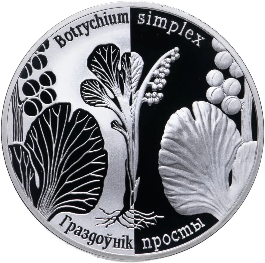 Республика Беларусь 20 рублей 2014 "Возрожденные растения - Гроздовник простой", аверс