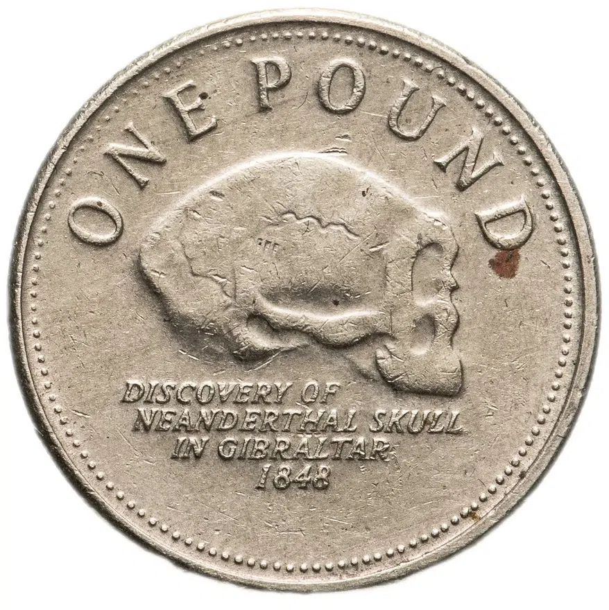 Гибралтар 1 фунт (pound) 2007