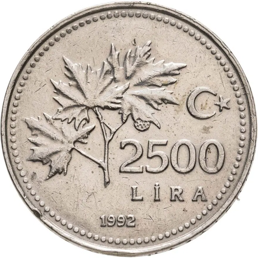 Турция 2500 лир (lira) 1992, аверс