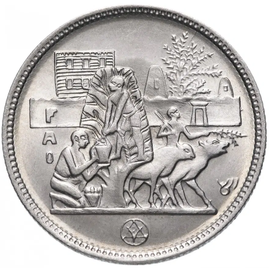 Египет 5 пиастров (piastres) 1977 "Продовольственная программа - ФАО (FAO)", аверс