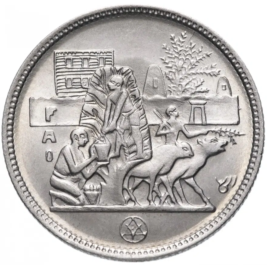 Египет 5 пиастров (piastres) 1977 "Продовольственная программа - ФАО (FAO)", реверс