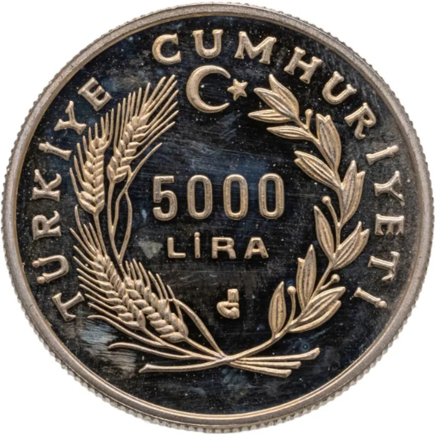 Турция 5000 лир (lira) 1991  Год Любви - Юнус Эмре, реверс