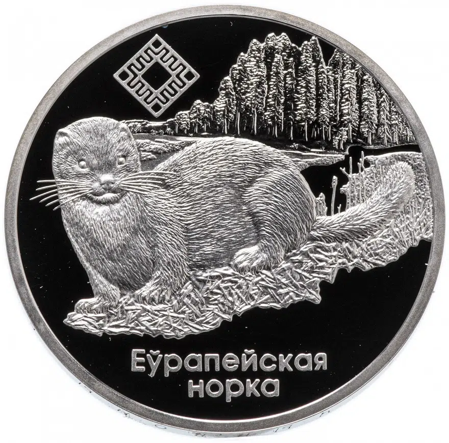 Беларусь 1 рубль 2006 "Европейская норка", аверс
