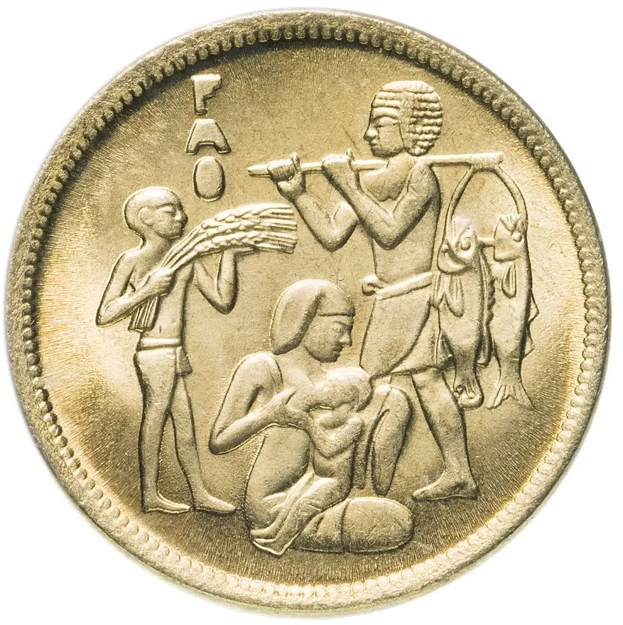 Египет 10 миллим (milliemes) 1976  "Продовольственная программа - ФАО"