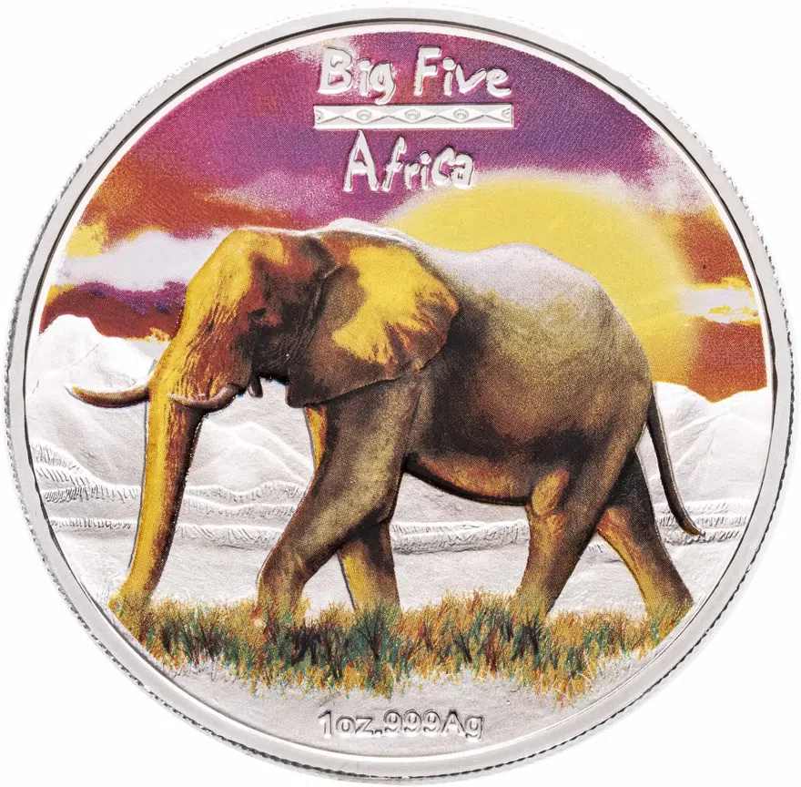 Конго (ДРК) 240 франков (francs) 2008  Большая пятёрка Африки - Африканский слон