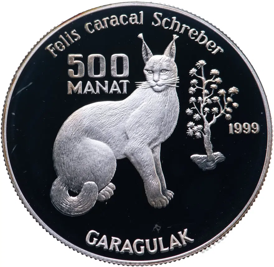 Туркменистан 500 манатов (manat) 1999  Дикая природа - Каракал, аверс