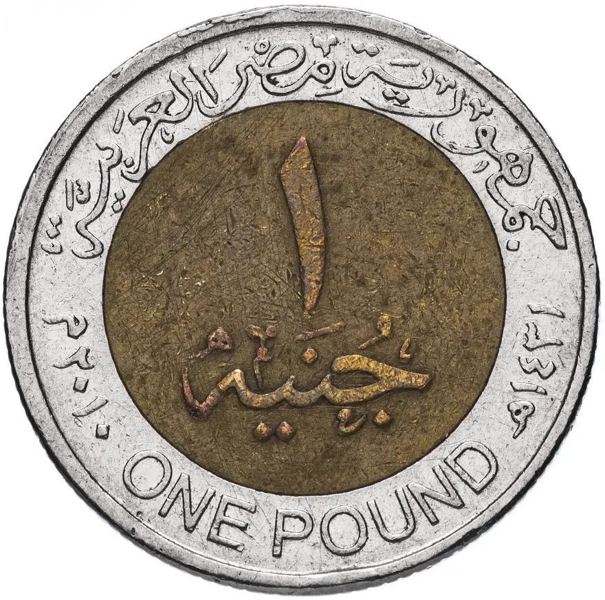 Египет 1 фунт (pound) 2007-2011, реверс