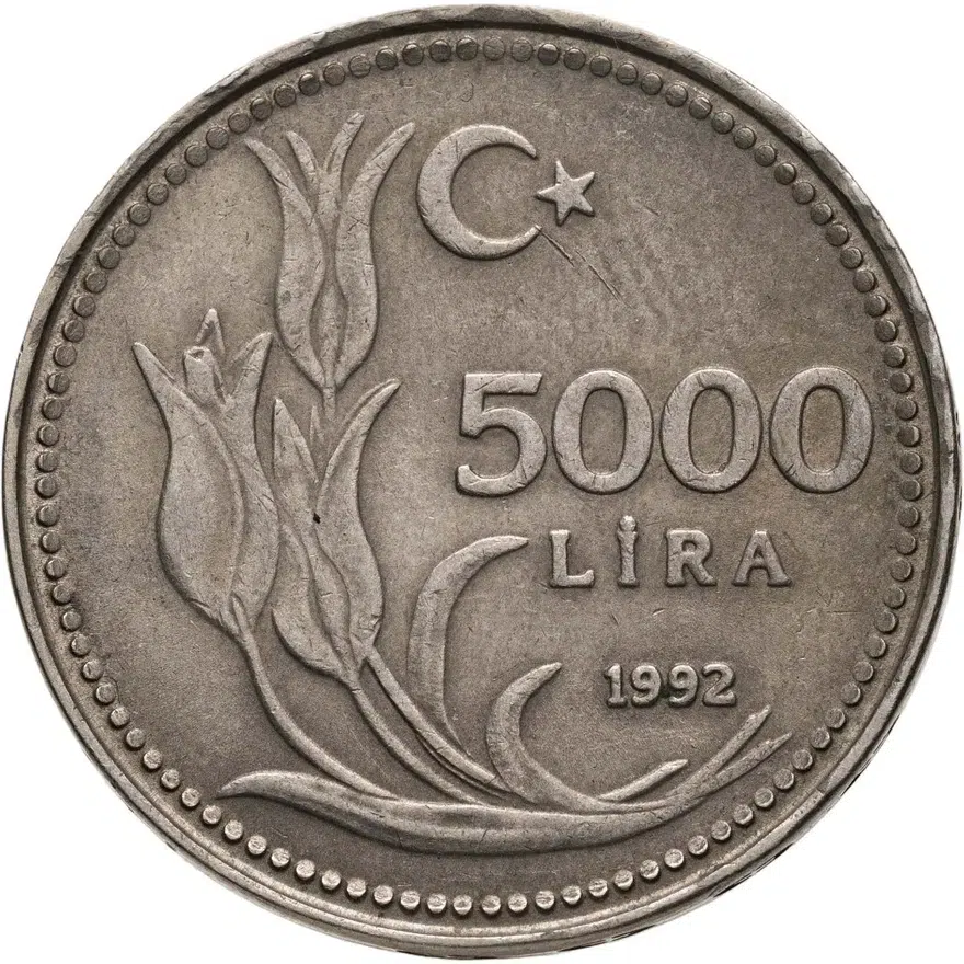 Турция 5000 лир (lira) 1992, реверс