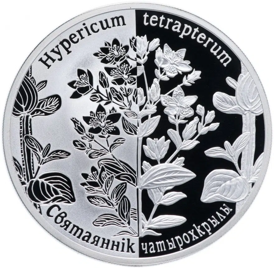Республика Беларусь 20 рублей 2013 "Возрожденные растения - Зверобой четырёхкрылый", аверс
